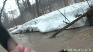 Комола 28.03.2026