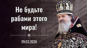 Время испытания веры! Воскресная проповедь протоиерея Андрея Лемешонка. 29 марта 2026 г.