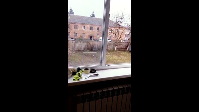 Макеевка двигаем мебель, клеим обои, укладываем линолеум_