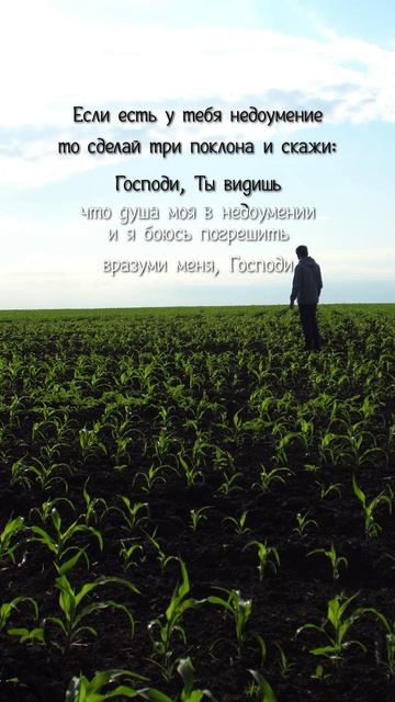 Душа моя в недоумении, вразуми меня, Господи!