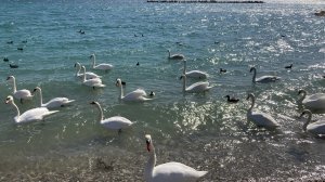 Крым, ЕВПАТОРИЯ, лебединное царство, Святоникольский храм