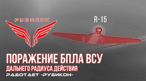 Поражение БпЛА ВСУ дальнего радиуса действия