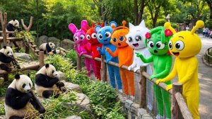 День в зоопарке с Пинки и друзьями! Какие сюрпризы вас ждут?