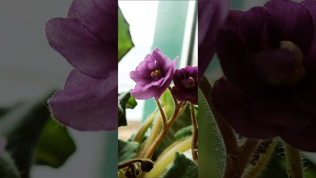 необычный плейлист для одиноких)