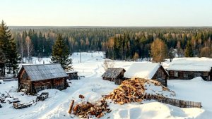 Перезимовал, но Волки всё таки пришли. Деревня, Тайга, Рыбалка.