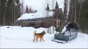 РЫБА ЕСТЬ! КАМЕРА ПОКАЗАЛА ХАРИУСА / РЫБАЛКА ВОЗЛЕ ИЗБУШКИ / МАЛЕНЬКАЯ РЕЧКА В ТАЙГЕ.