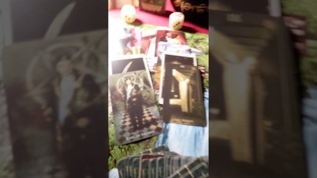 30032026🌍❤️🐬Образы🐻🌳🧿Расклад общий☀️🍓🍑🧙♂️📚