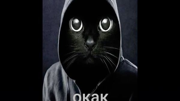 У меня 4 ПОДПИЩИКА!!