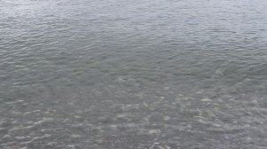 Небо, море свинцового цвета и оранжевый зонтик. В Сочи