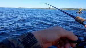 Бесконечный клёв окуня на "гирлянду". Силиконовые приманки от Ural Baits