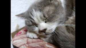 40 подписчиков 🤝 и новая песня.