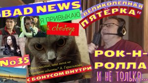 Мышик и рок-н-ролл 35.