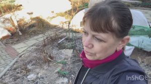 Дачный обзор 28.03 | первые всходы | форзиция