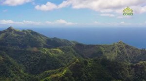 Стихи над миром. Стихотворения Симеона Афонского