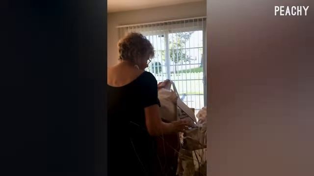 Best Pranks Of May 2025! 👀 Funniest And Wild Pranks