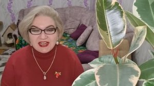 1 часть. Бритый висок изображает счастье❗️Зачем новые уколы❓️