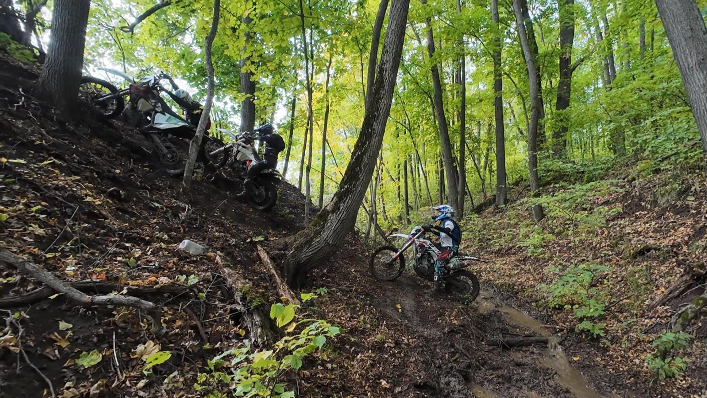 Коварный ручей/В поисках нефти