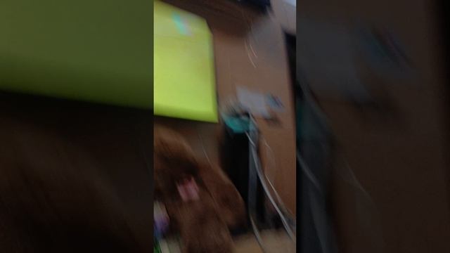 огромное лего