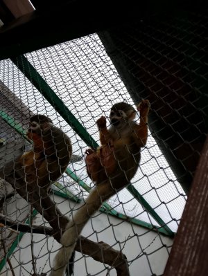 видео на видео🤣