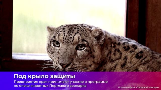 КОРОТКО О ГЛАВНОМ