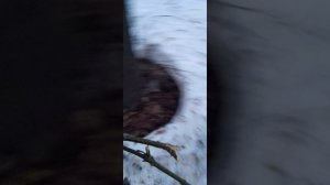 выживание 1 часть