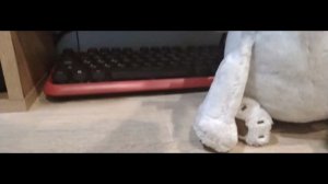 мисия  《захватывающися》