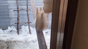 Дикий вольный зоопарк