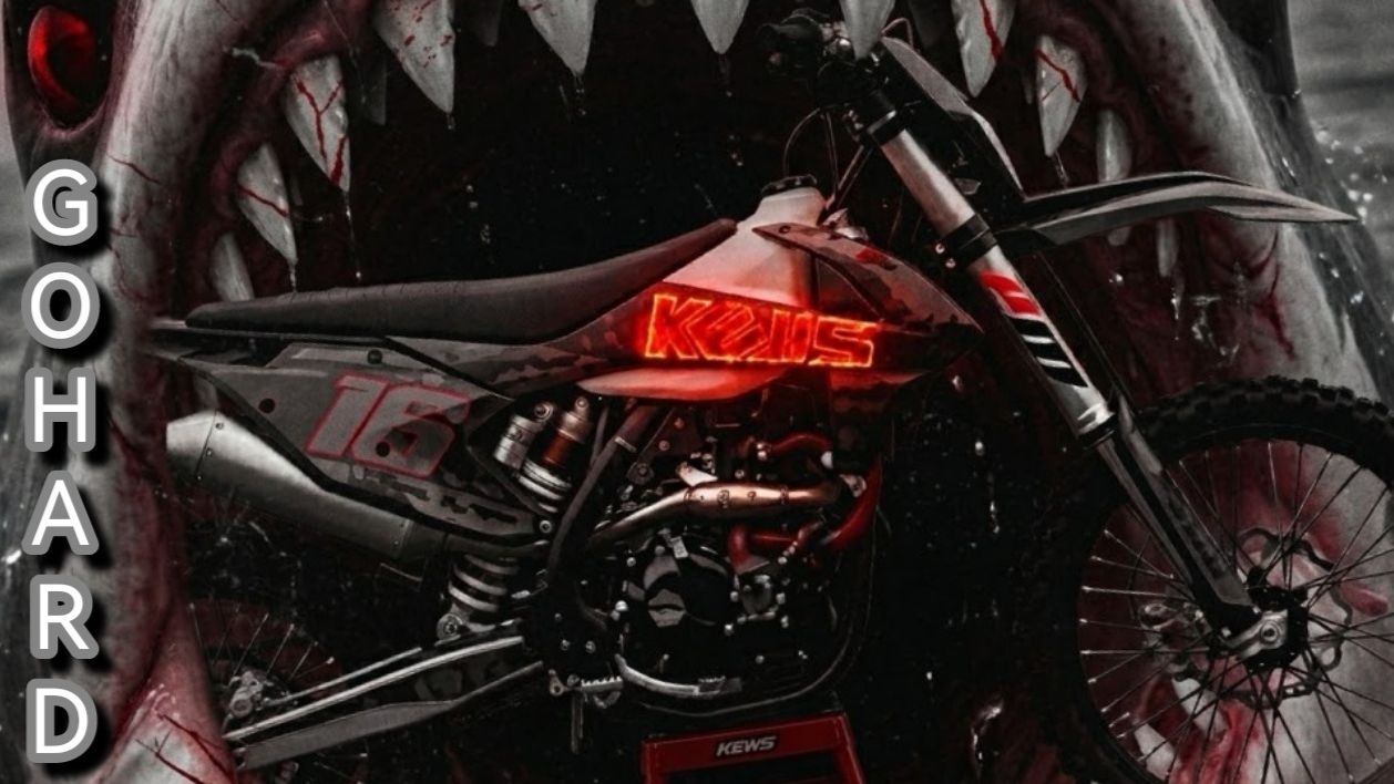 NB300 GOHARD ДЕНЬ 7 ЧЕЛЮСТИ