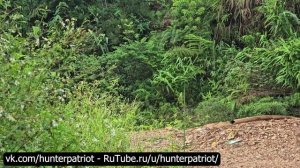 🎣 Ловушки на берегу ручья: как поймать много речной рыбы на продажу — секреты и радость улова!