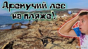 Лермонтово 2026. Курортный сезон под угрозой? Мой ШОК в ШОКЕ от увиденного! Слабонервным не смотреть