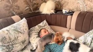 Зависть среди мужчин #дневникбагиры