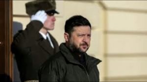 Дмитрий Медведев посмеялся над зелёным насекомым