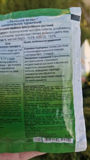 Хвоя весна 2026