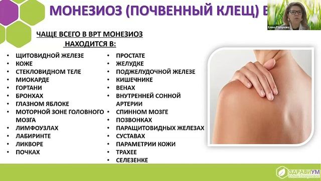 Невидимый мир внутри нас. Ленточные черви и их влияние на организм