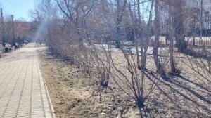 Прогуляемся. 29 марта Иркутск  Ищу пряжу. #Иркутск #весна #выходной #теплаяпогода #прогулка