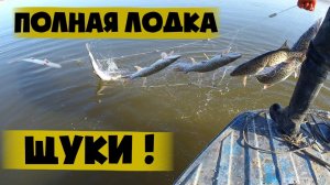 Щука, Судак, Окунь. Лучшая Русская Рыбалка. Рыбалка на RUTUBE Онлайн Без Рекламы. Крутой Улов 2026