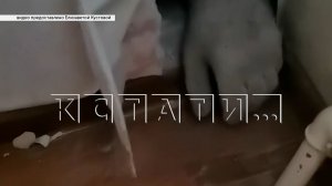 Хозяин магазина прорубил стену и ночью засунул руку в соседнюю квартиру, и стал там шариться