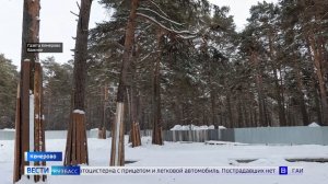 Лёгкое модульное здание установят на месте старой спортивной школы в Рудничном бору Кемерова