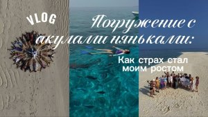Погружение с акулами няньками: как страх стал моим ростом 🦈