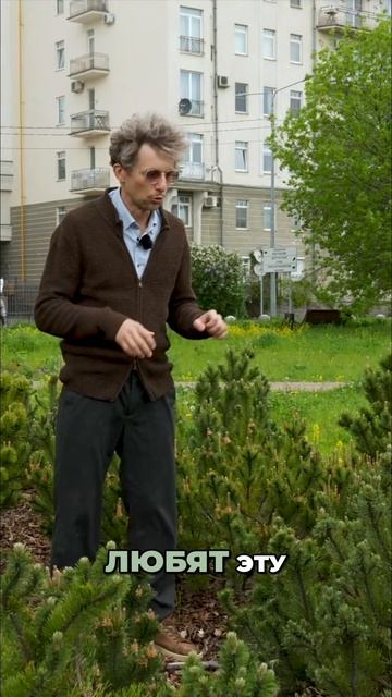 Секретный прием. Исключаем сорняки в саду навсегда