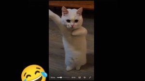 Не Ну Рил😂 Аватар Ворлд В Описс🐚