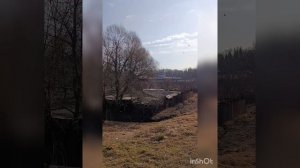 Сегодня ездила в Павловск, сдавала анализы Луне.