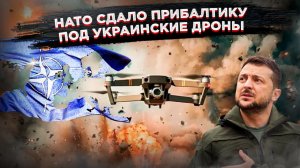 НАТО открыло "военный шенген" для Украины: дроны летят через Литву и Латвию бить по России!
