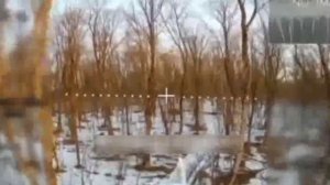 🇺🇦Укронацист надеялся отсидеться за деревом, но не тут было…