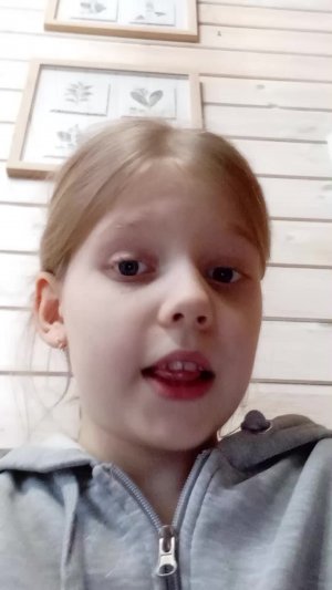 вопрос-ответ