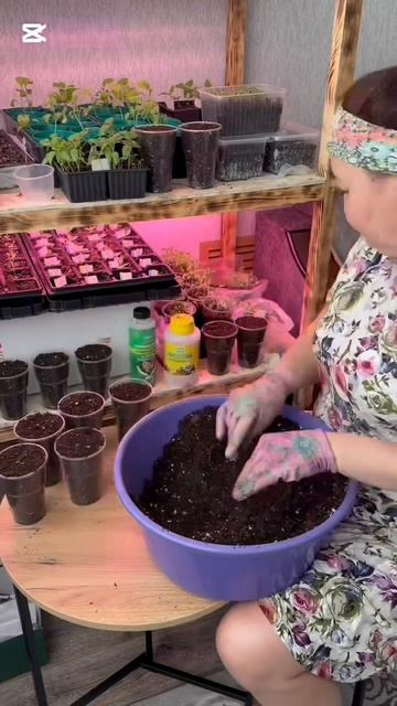 Уход за рассадой после пересадки