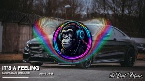 It's a Feeling - Suspicious Unicorn