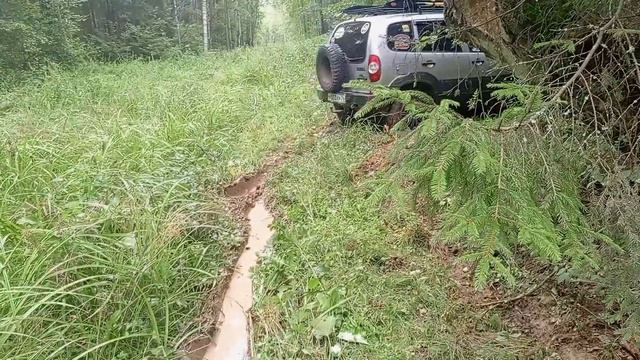 Нива Шевроле. 23 сентября 2025 г.