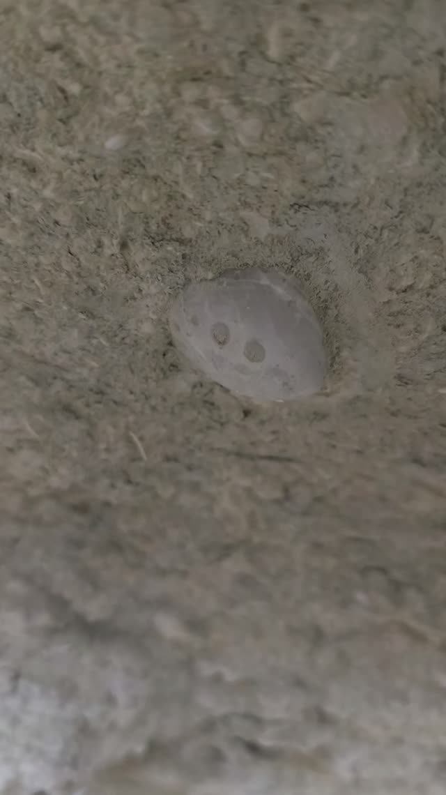 Если долго смотреть в камень, то он посмотрит в тебя...