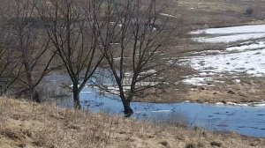 20260329 Тает снег паводок разлив река Сухая Орлица деревня Новотроицкое Орловский район город Орёл